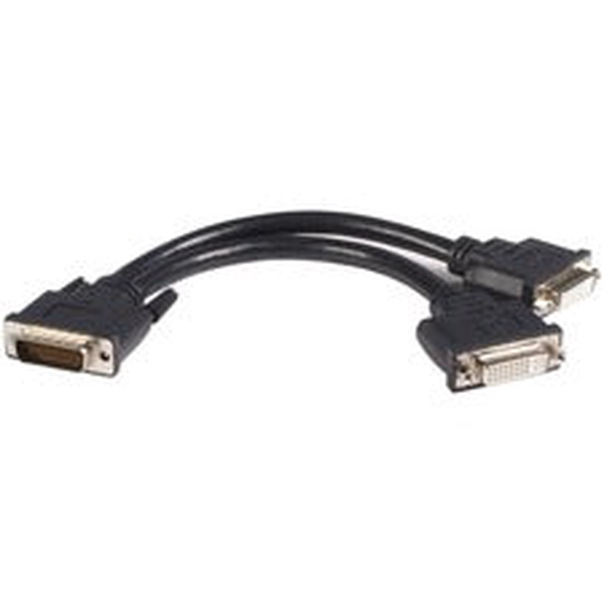 StarTech.com LFH 59 Male to Dual Female DVI I DMS 59 Cable - First End: 2 x 29-pin DVI-I Digital Video - Second End: 1 x 59-pin DMS-59 Video - 1 Each